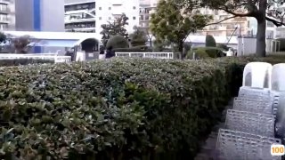 三级国产精品视伦,成人视频高清免费观看
